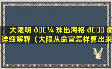 大限明 🐼 珠出海格 🐞 命格详细解释（大限从命宫怎样算出来）